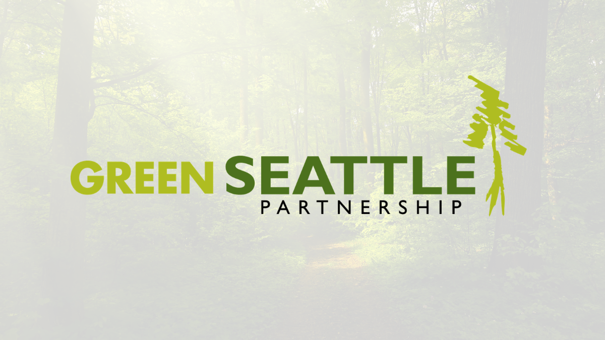 How the Green Seattle Partnership Has Transformed Discovery Park