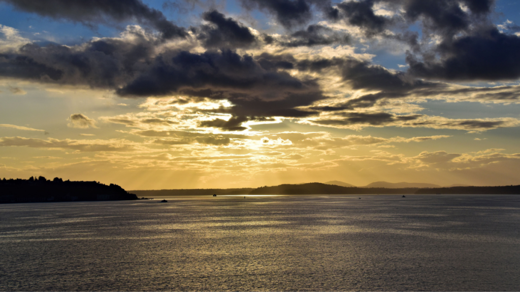 The Role of Discovery Park - Friends of Discovery Park