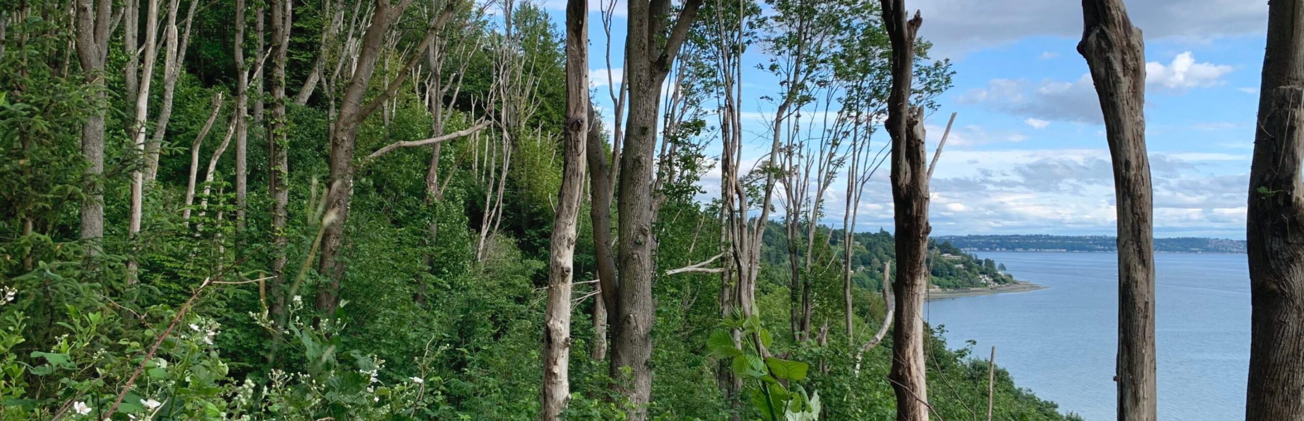 Monitoring Bluff Retreat