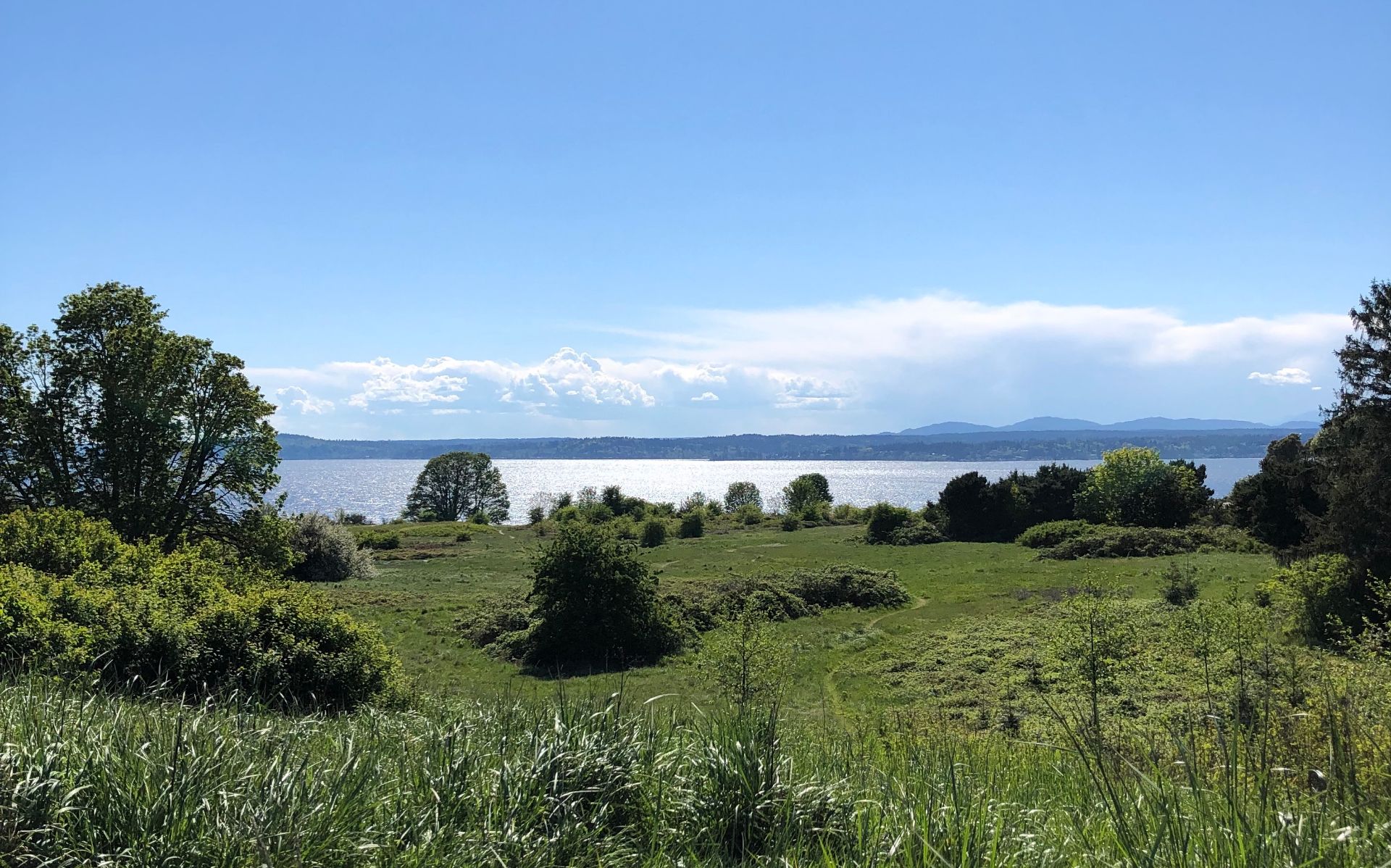 Thumb Ecological Services