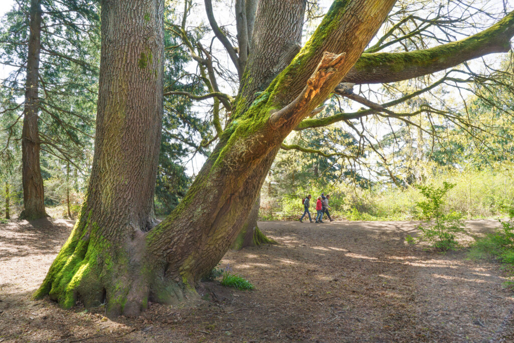 Loop Trail At Discovery Park Md208696